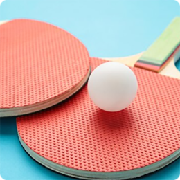 tabletennisworldtour